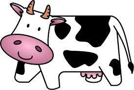 cow